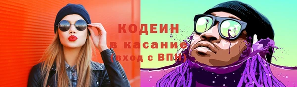 прущий лед Алзамай