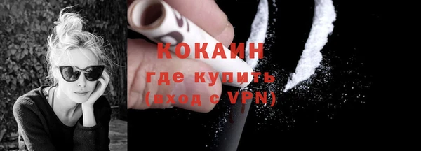 прущий лед Алзамай